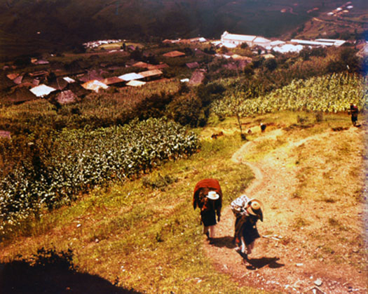 Guatemala mountain paths, carrying heavy loads