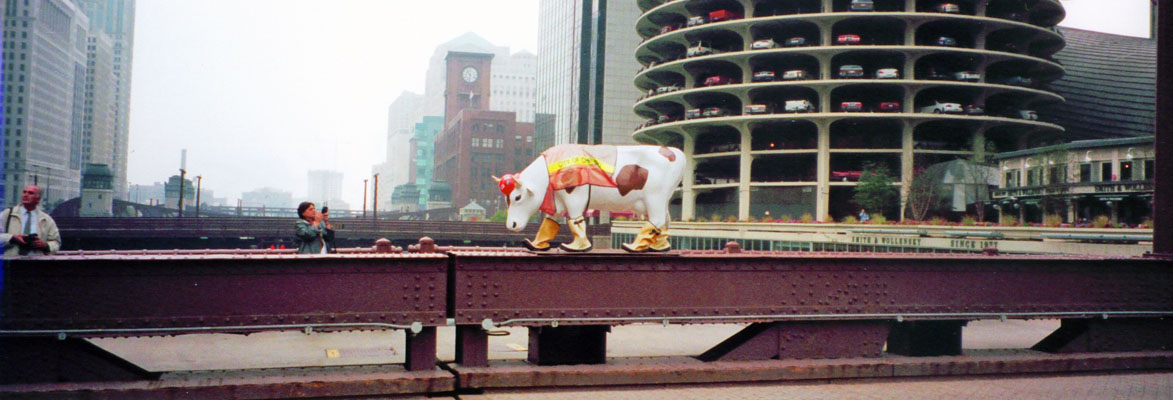 "Cows on Parade" Chicago street art temporary exhibit, Cow on bridge by Marina City