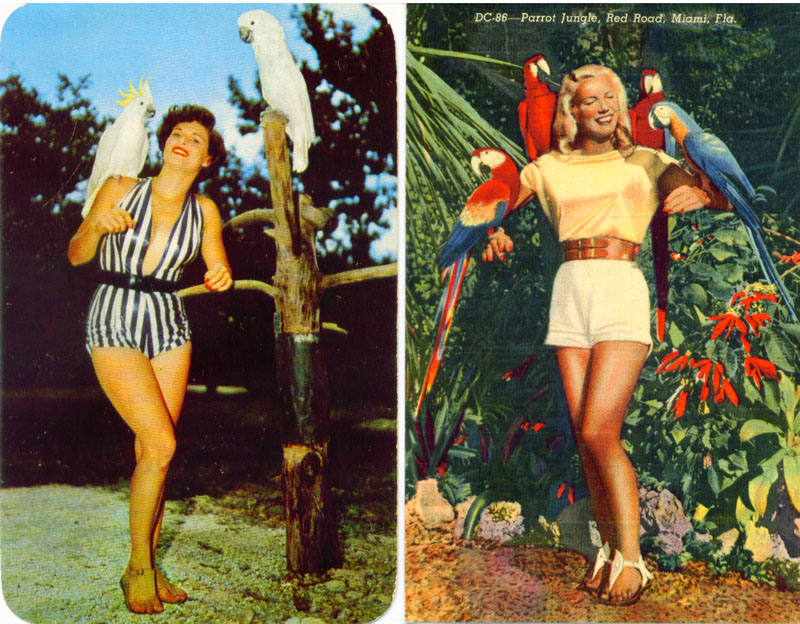 pretty 1950's model with parrots, FL