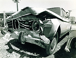 Highway Deer accident, Illinois