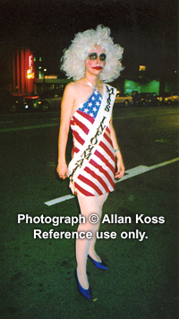Miss Mis-information, American Flag draped on Chicago streets