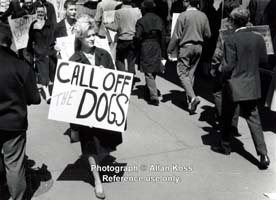 call off the dogs photograph, Chicago, 1963