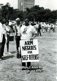 Max Stanford, "Arm Negroes," placard at Chicago Rally, 1963