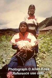 Backstrap loom weavers Mexico