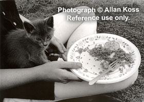 Woodstock Hog Farm food, 1969